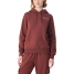 Women’s Hoodie Champion Brown image1