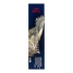 Permanent Dye Koleston Me+ Wella Nº 12/89 (60 ml) image1