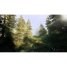 PlayStation 5 Video Game Nacon HUNTING SIMULATOR 2 image6