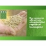 Seeds BHS 3 Kg image2