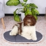 Dog Bed Ferplast image4