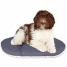 Dog Bed Ferplast image2