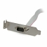Adaptor Startech PLATE9M16LP          IDC DB9 image3