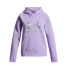 Hooded Sweatshirt for Girls Under Armour Rival Flc Shimmer Hdy Lavendar image1