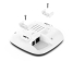 Access point Netgear WAX210-100EUS White image4