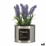 Decorative Plant Ibergarden Metal Plastic Can Lavendar 10 x 18 x 10 cm (6 Units) image1