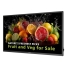 Videowall Monitor Philips 50BDL5050D/00 Full HD 50