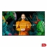 Videowall Monitor Samsung QM65B 4K Ultra HD 65