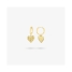 Ladies' Earrings Radiant RY000107 image4