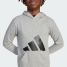 Hooded Sweatshirt for Girls Adidas Big Logo French Terry Hd Light grey image5