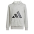 Hooded Sweatshirt for Girls Adidas Big Logo French Terry Hd Light grey image1