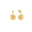 Ladies' Earrings Radiant RY000149 image1