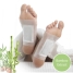 Detox Foot Patches Bamboo InnovaGoods 10Units image1