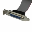 Adaptor Startech PLATE25F16LP         image1