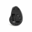 Ergonomic Optical Mouse Kensington K75501EU Black 1600 dpi image3