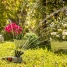 360º Garden Water Sprinkler Klerdden InnovaGoods 36 jets image6
