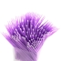 Pencil MSI S1S-0000560-D22 image4