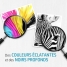 Original Ink Cartridge HP Black image5