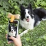 Selfie Clip for Pets Pefie InnovaGoods image5