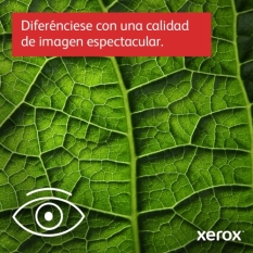 Laser Printer Xerox C620V_DN