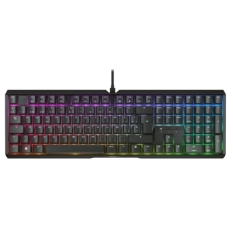 Keyboard and Mouse Cherry G80-3890LJAES-2