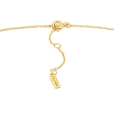 Ladies' Necklace Ania Haie N018-01G