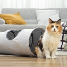 Collapsible Pet Tunnel Funnyl Innovagoods