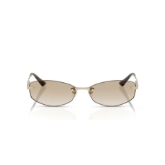 Ladies' Sunglasses Jimmy Choo JC 4013D