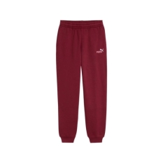 Children’s Sports Shorts Puma Essentials 2 Color Small No Maroon