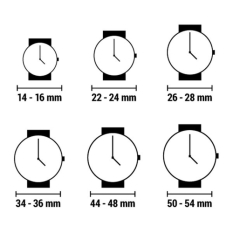 Ladies' Watch Radiant RA592201