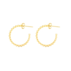 Ladies' Earrings Radiant RY000016