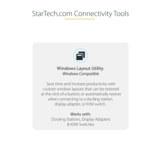 Adaptor Startech MST14CD122DP Grey