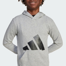 Hooded Sweatshirt for Girls Adidas Big Logo French Terry Hd Light grey