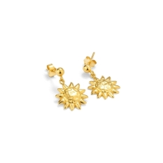 Ladies' Earrings Radiant RY000149