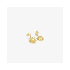 Ladies' Earrings Radiant RY000149